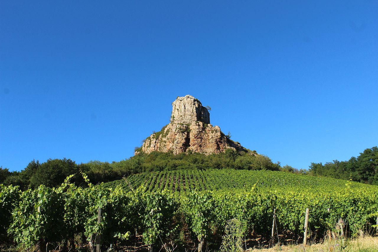 Vignoble de Mâcon
