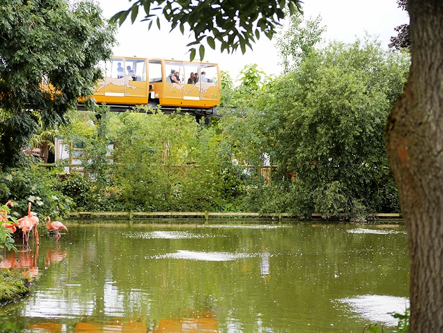 Chester Zoo