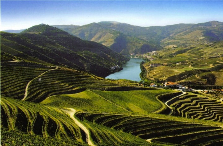 Das Weinbaugebiet Alto Douro