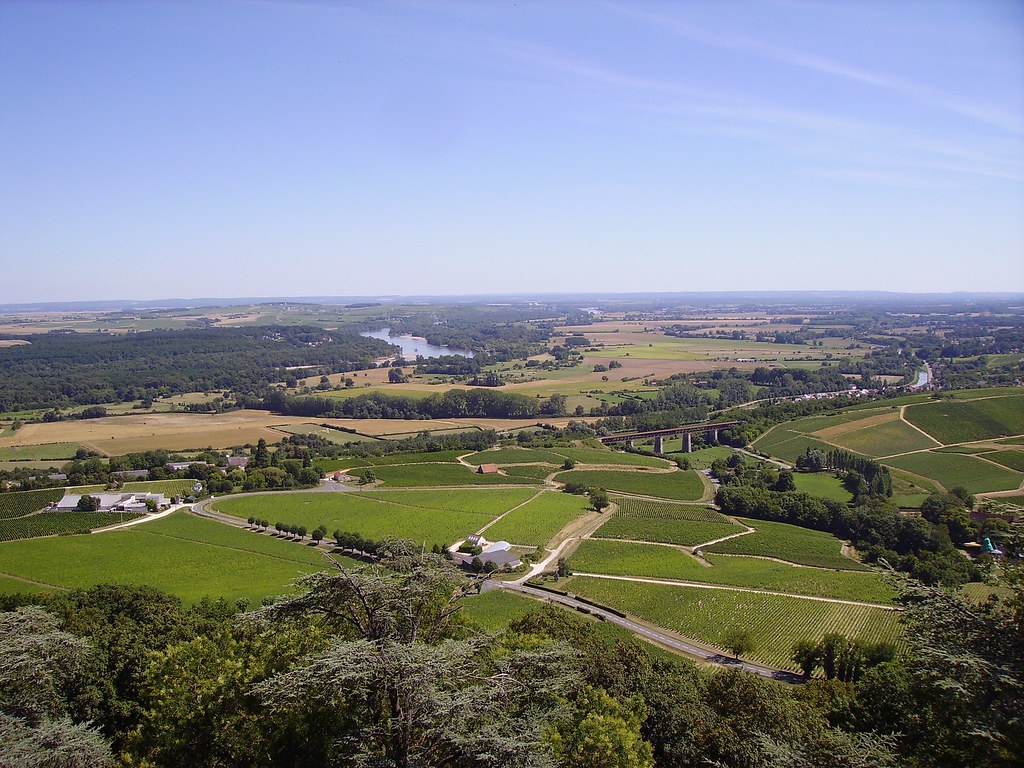 Une dégustation dans les vignobles du Sancerrois