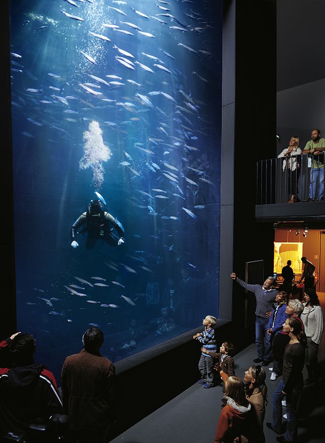 L’Aquarium de Müritz : Le Müritzeum