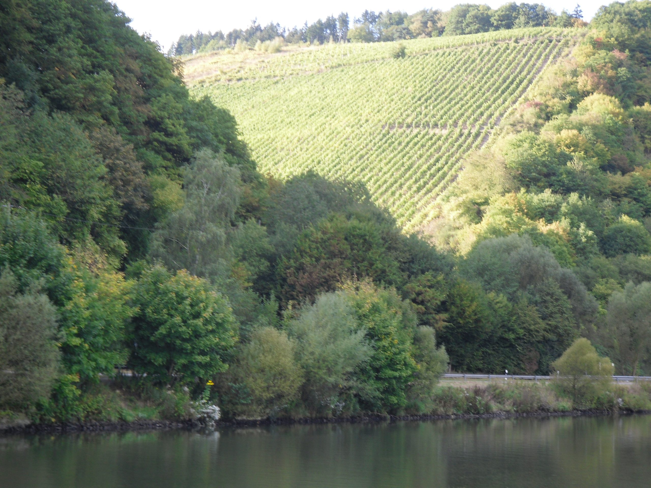 alsace-qr-code