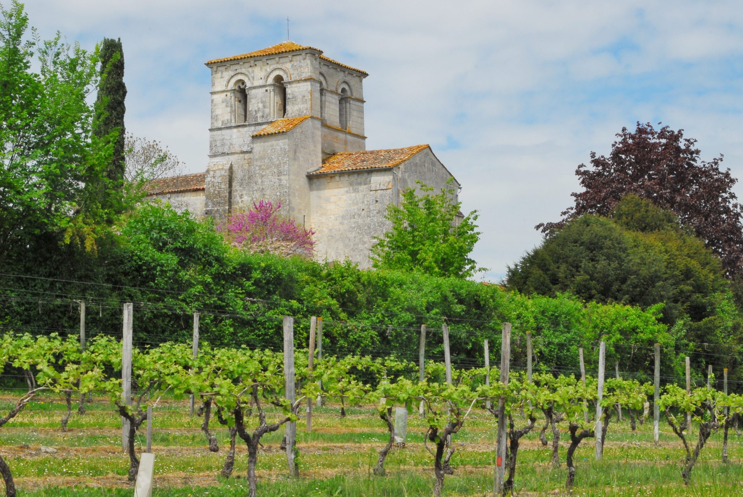 Charente qr code